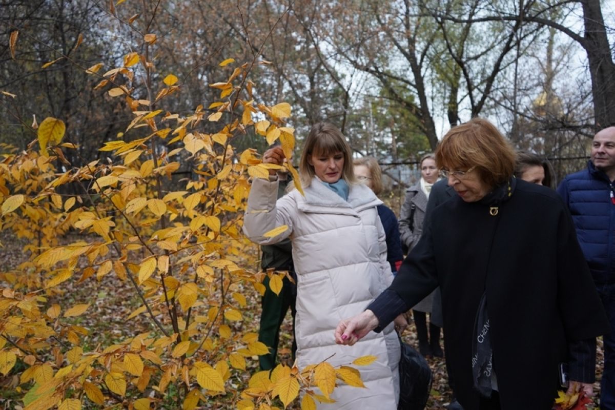 Новый созыв городского Совета продолжает дело предшественников по защите дендрария