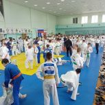 В Усть-Катаве прошел областной турнир по дзюдо