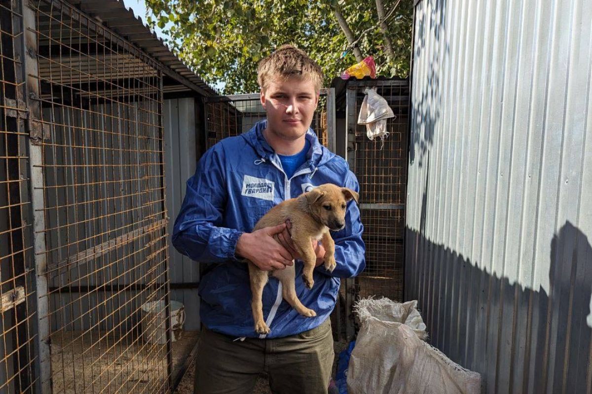 Воронежские активисты «Молодой Гвардии» и «Единой России» оказали помощь приюту для животных