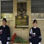В Белгороде установили мемориальные доски памяти воинам, погибшим в СВО