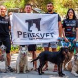«Единая Россия» организовала акцию в поддержку приютов для животных в Ростовской области