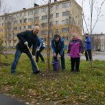 В Усинске партийцы организовали высадку деревьев