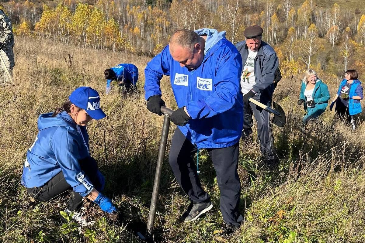 В Республике Алтай при участии «Единой России» высадили кедры