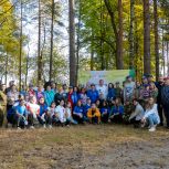 Депутат Мособлдумы Владимир Шапкин подвел итоги субботников, прошедших в этом году в рамках партпроекта «Чистый лес»