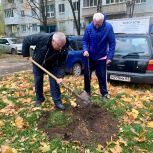 Самарские единороссы продолжают озеленение областной столицы