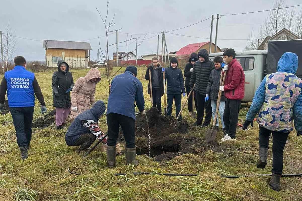 В кузбасском селе единороссы высадили саженцы сосны