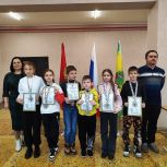 В Елецком районе при поддержке единороссов прошел турнир по быстрым шахматам