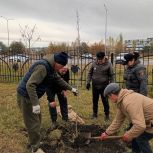 В Ульяновске при участии «Единой России» высадили Аллею памяти участников спецоперации