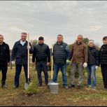 1600 деревьев посадили в Арске в рамках акции «Добрые дела - лучший подарок Президенту»