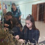 Ученики Анастасовской школы внесли свой вклад в помощь нашим военнослужащим