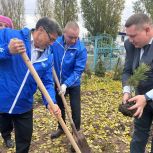 Посадка кедров – символ единства и дружбы
