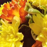 Уважаемые учителя! Примите искренние поздравления с профессиональным праздником