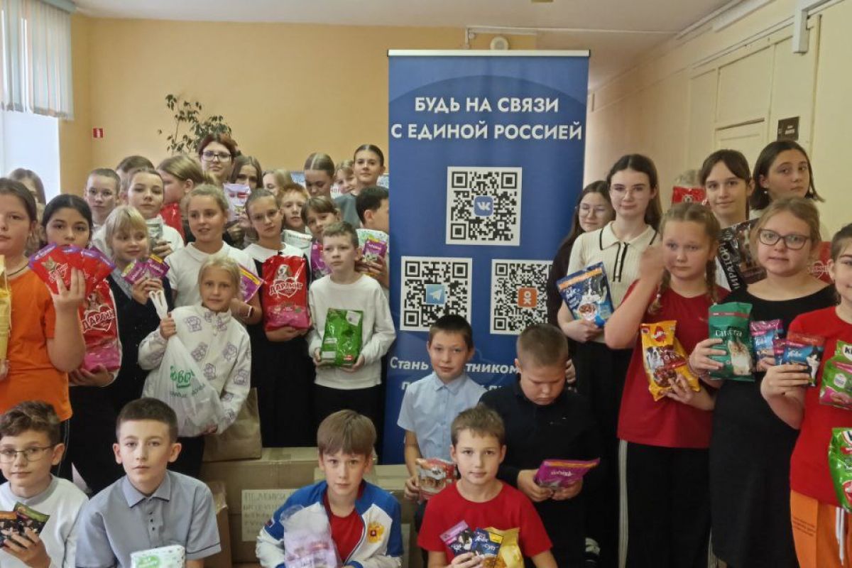 Владимирский регион собирает помощь бездомным животным Курска