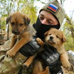 При содействии «Единой России» в Алтайском крае стартовала акция по сбору кормов для животных в зоне СВО