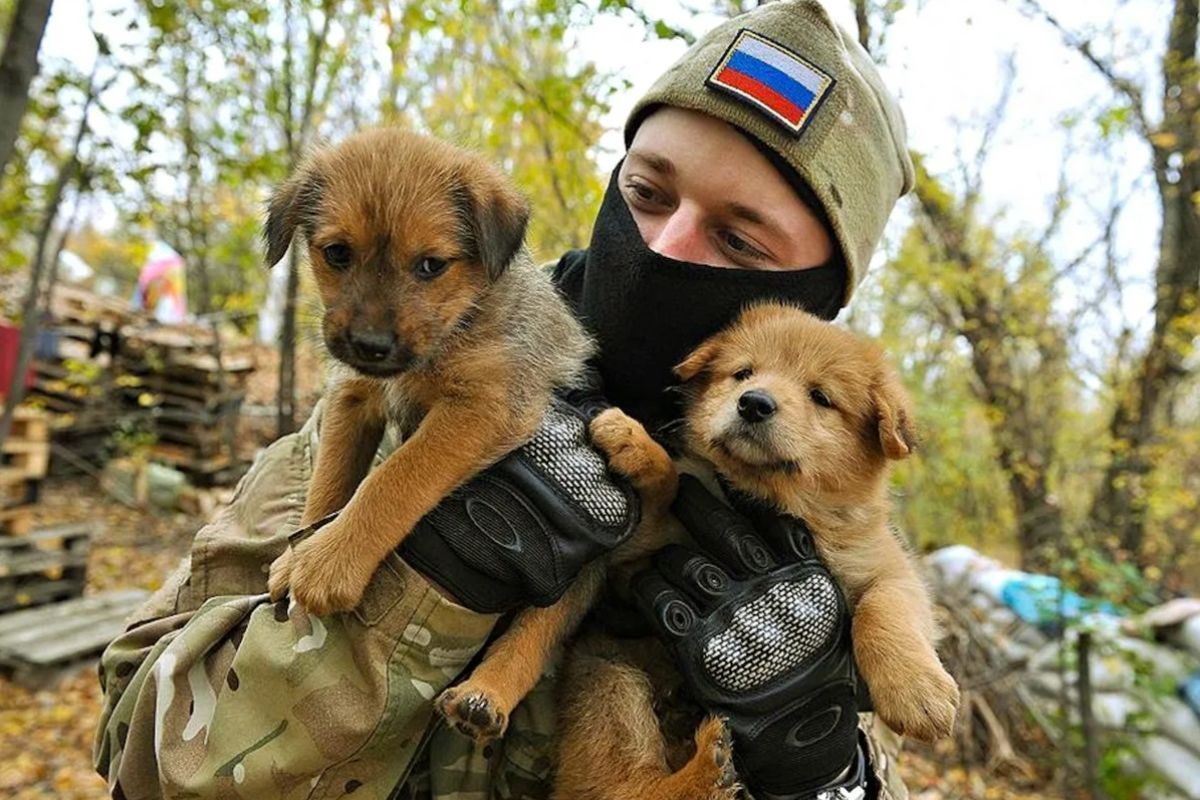 При содействии «Единой России» в Алтайском крае стартовала акция по сбору кормов для животных в зоне СВО