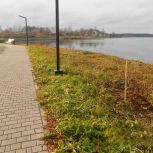 В Омутнинске продолжается озеленение