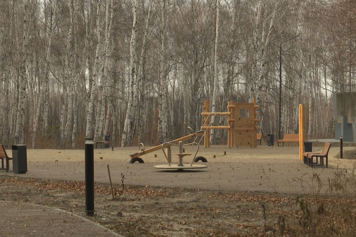 Народная программа «Единой России» подарит Завитинску «Лес памяти»