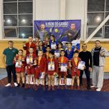 В Аликовском округе прошел открытый Кубок по самбо в рамках партийного проекта «Выбор сильных»