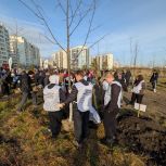 Активисты «Единой России» приняли участие в высадке в новой аллеи «Юбилейной» в Ленинском районе