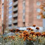 Жители Нижегородской области могут заявиться на конкурс лучших домов и дворов