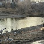 В Кувандыке продолжается благоустройство парка имени Федорова