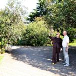 В Сочи приведут в порядок сквер Кооперативный