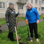 При участии «Единой России» в Больших Колпанах Ленинградской области заложили аллею спорта
