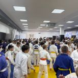 В Саратове для дзюдоистов провели День борьбы