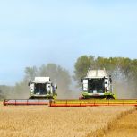 В Иркутской области 8-12 октября агродиктант будут писать на 103 площадках