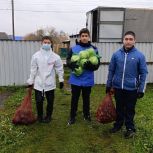 Единороссы и молодогвардейцы доставили овощные наборы жителям Белова