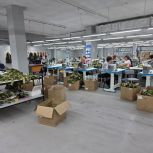 В столице Поморья разработали новую модель дронов
