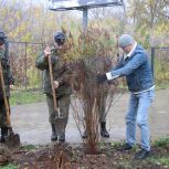 В Рязанской области Единый день озеленения поддержали участники СВО