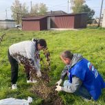 Преобразим поселок вместе: жители Мухтолово провели уборку и озеленение общественного пространства