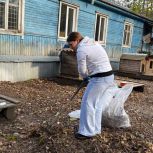 В Биробиджане активисты «Единой России» помогли приюту для животных