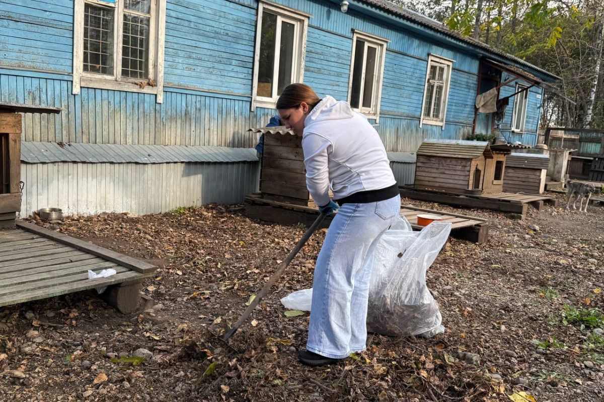 В Биробиджане активисты «Единой России» помогли приюту для животных