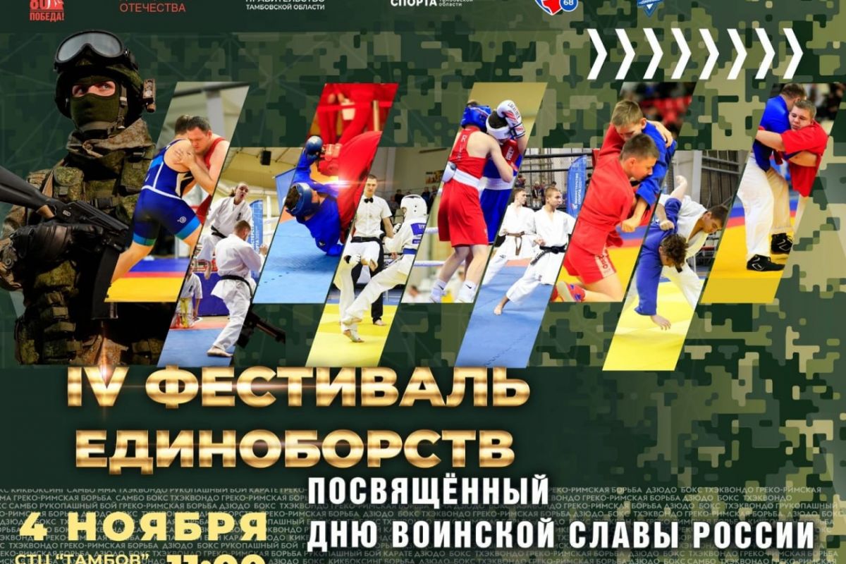 При поддержке «Единой России» в Тамбове состоится IV Фестиваль единоборств