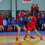 Под эгидой партпроекта «Выбор сильных» в Ярославле прошло Первенство города по самбо