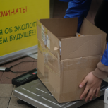 Партпроект «Чистая страна» проведет в центре Ростова-на-Дону акцию по сбору макулатуры