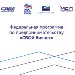 Федеральный проект «СВОй бизнес» стартовал в Курганской области