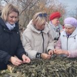 На районном фестивале в Новоузенске работал пункт по сбору гуманитарной помощи бойцам СВО