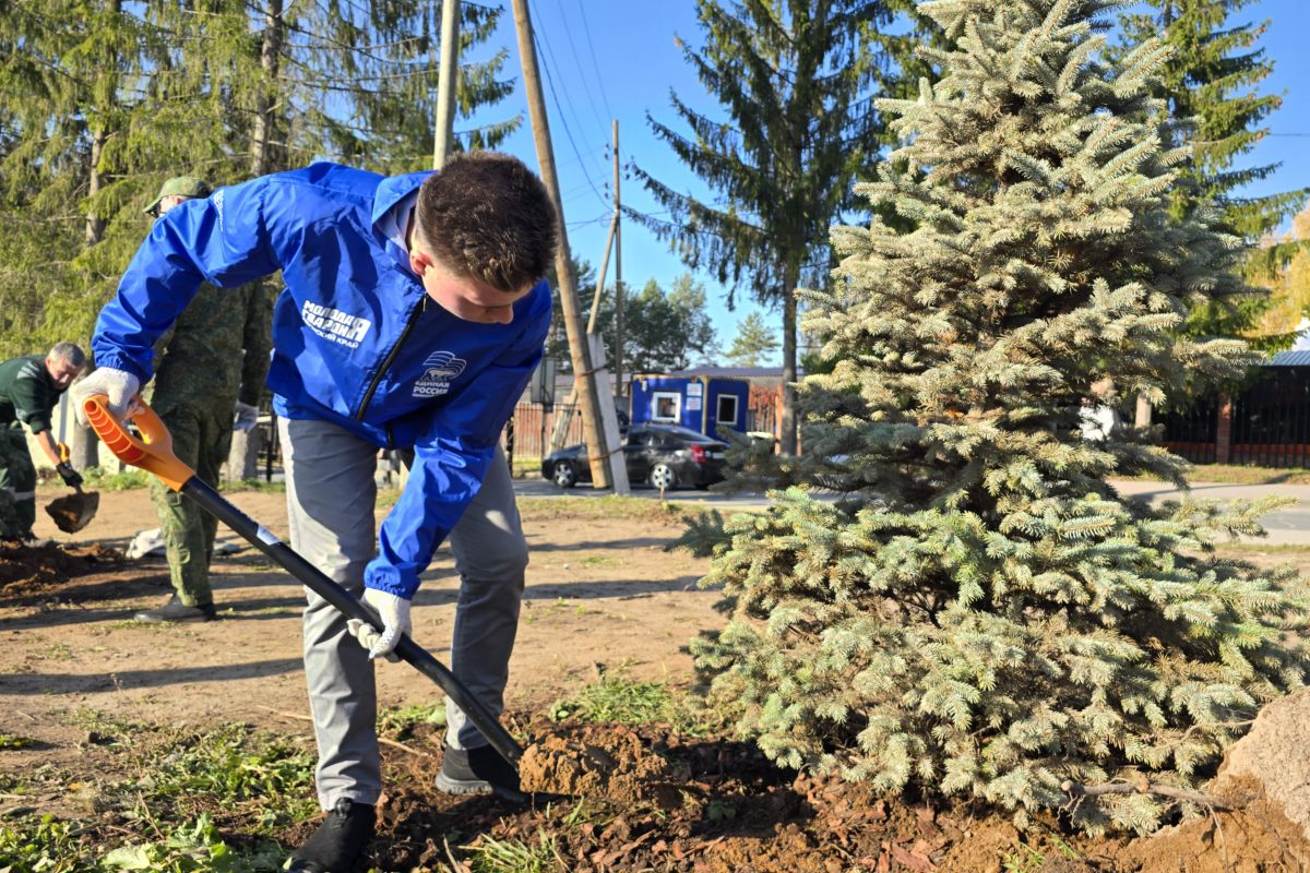 В Перми в память о погибших участниках специальной военной операции посадили голубые ели