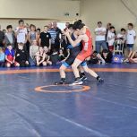 «Единая Россия» выступила соорганизатором Регионального этапа спортивной борьбы среди школьников «Борьба в школу»