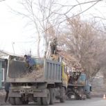 В рамках федерального партпроекта «Зеленая экономика» члены партии «Единая Россия» проверили в Троицке организацию мероприятий по уходу за городским зеленым фондом