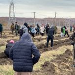 Депутаты «Единой России» помогают восстановить «зеленые легкие» Приамурья