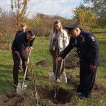 При поддержке партпроекта «Единой России» «Чистая страна» в донской столице появились две новые аллеи в честь участников СВО