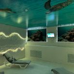 Евгений Шаповалов принял участие в открытии соляной комнаты в реабилитационном центре для детей-инвалидов