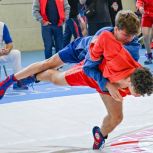 В Севастополе проходят Всероссийские соревнования по самбо