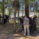 По инициативе «Единой России» в Биробиджане состоялся масштабный субботник