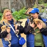 Нижегородцы помогают восстанавливать инфраструктуру Курской области