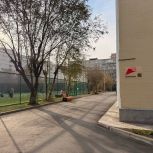 Илья Зайцев проверил красноярский лицей №2 после капитального ремонта